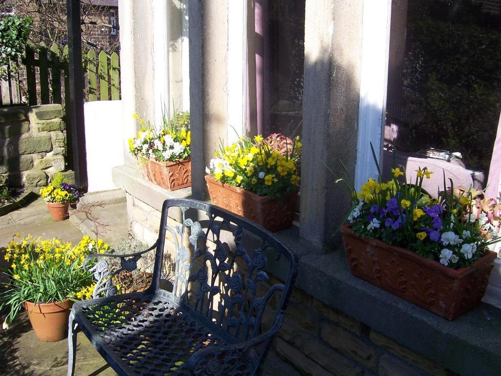 Spring Lodge هاروغايت المظهر الخارجي الصورة
